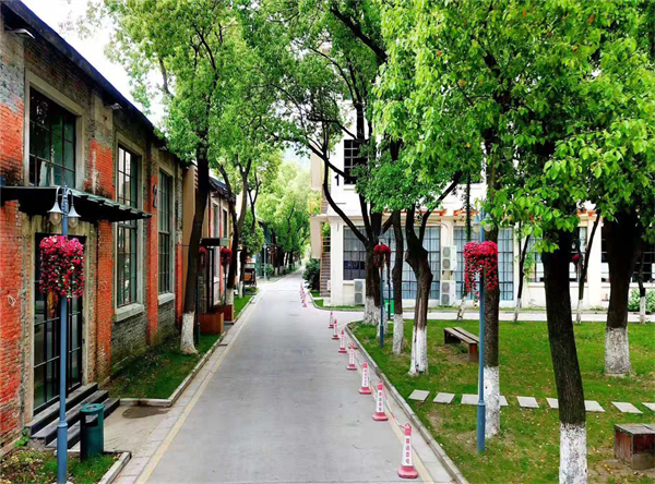 微信图片_201910171130023.jpg